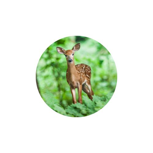 las-pruebas-en-tiempos-dificiles